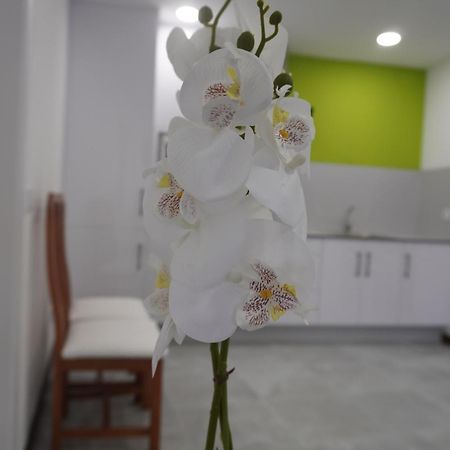 Apartamento Sanin 3 Lumbrales Esterno foto
