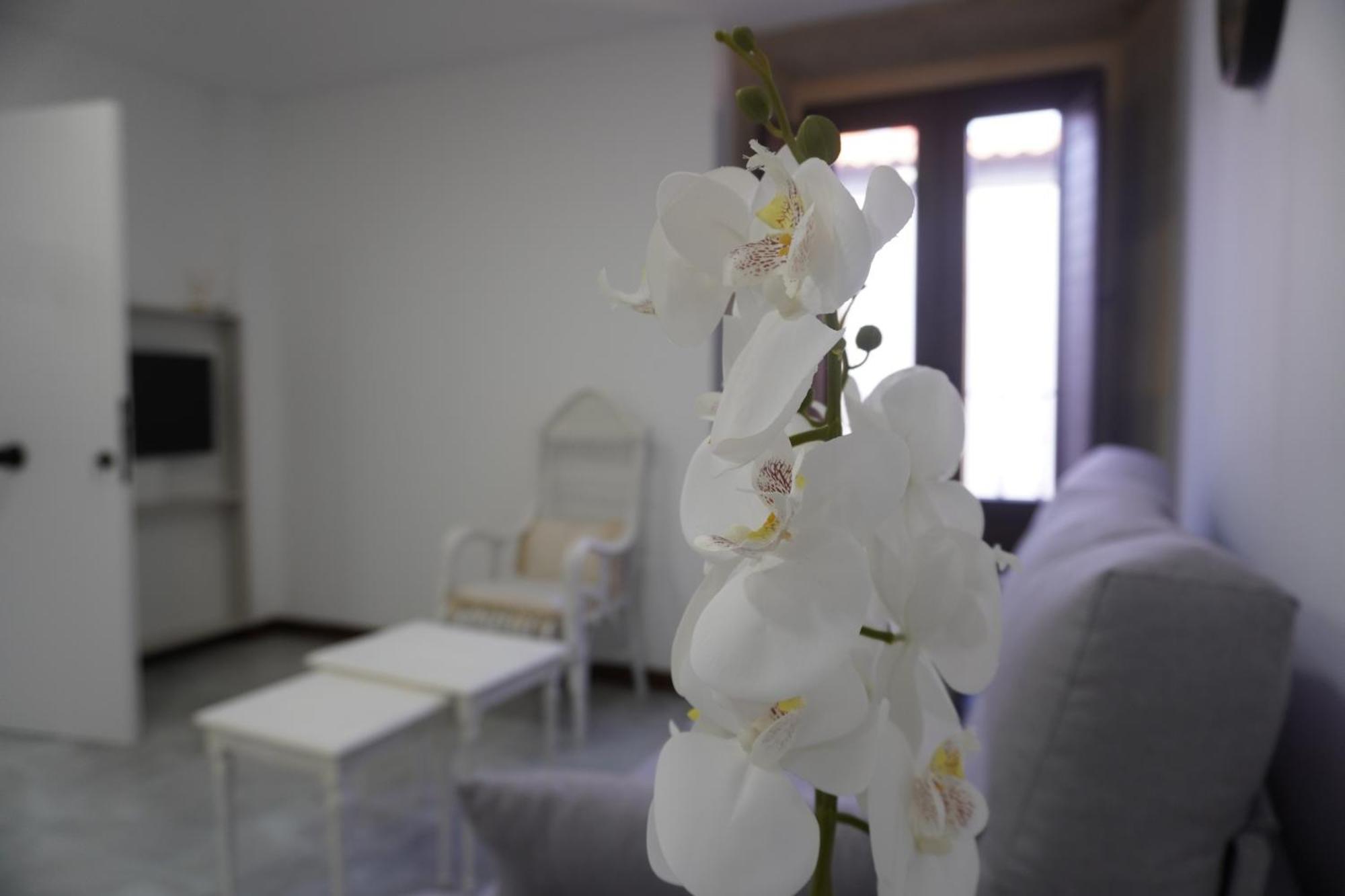 Apartamento Sanin 3 Lumbrales Esterno foto
