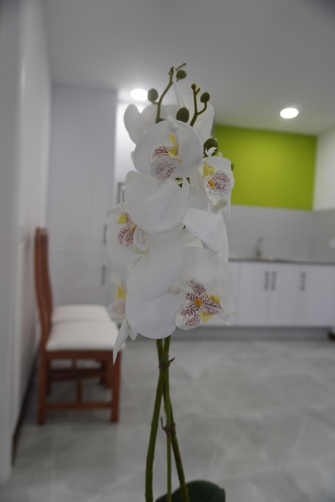 Apartamento Sanin 3 Lumbrales Esterno foto